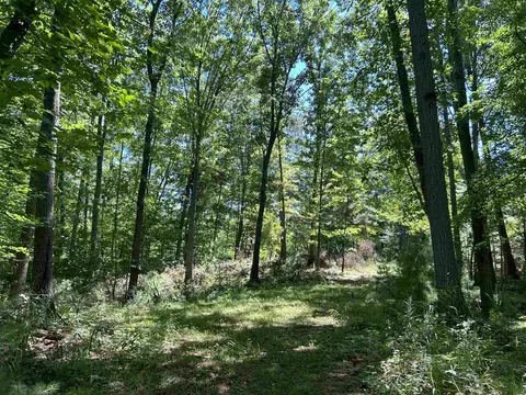 Castle Lane, Custer, WI 54423 photo 27