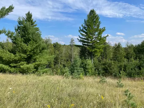 Snuff Box Road, Hermansville, MI 49847
