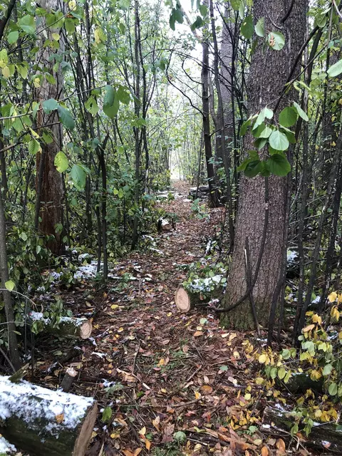 3 Rd Ave #2, Weyauwega, WI 54983