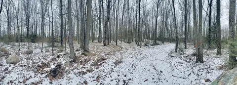 Hwy 45, Birnamwood, WI 54414