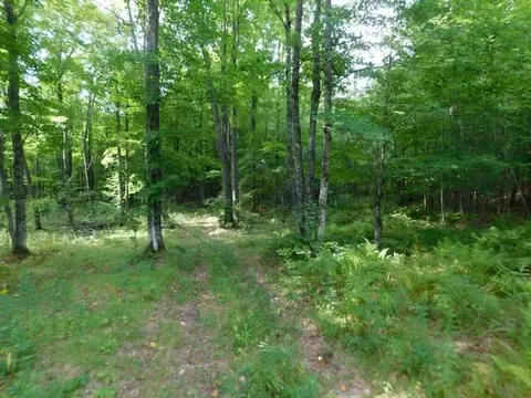 Old 139 Road, Argonne, WI 54511 photo 12