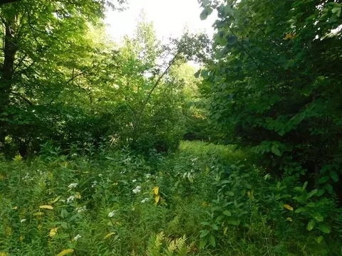 Old 139 Road, Argonne, WI 54511 photo 15