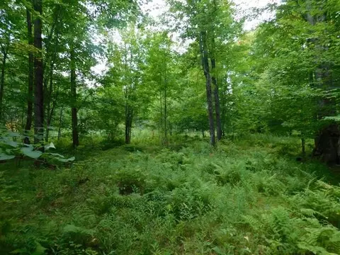 Old 139 Road, Argonne, WI 54511 photo 5