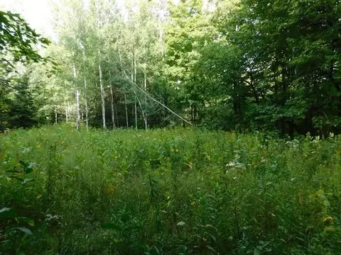 Old 139 Road, Argonne, WI 54511 photo 14