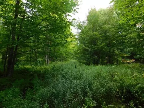 Old 139 Road, Argonne, WI 54511 photo 17