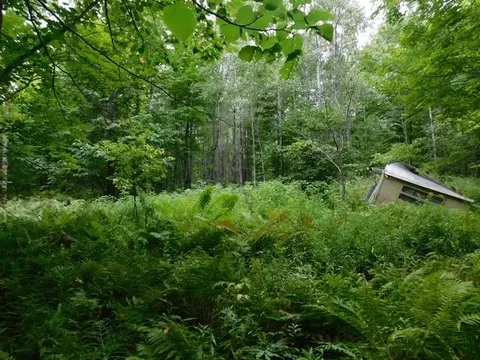 Old 139 Road, Argonne, WI 54511 photo 3