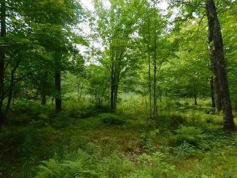 Old 139 Road, Argonne, WI 54511 photo 8