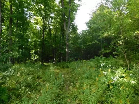 Old 139 Road, Argonne, WI 54511 photo 11