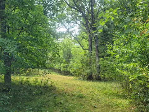 Czech Avenue, Neshkoro, WI 54960