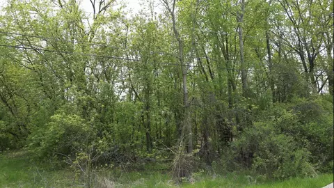 Michigan Street, Omro, WI 54963