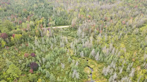 Weckerle Road, Beecher, WI 54156 photo 35