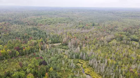 Weckerle Road, Beecher, WI 54156 photo 36