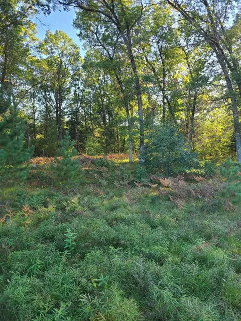 Winchester Trail, Crivitz, WI 54114