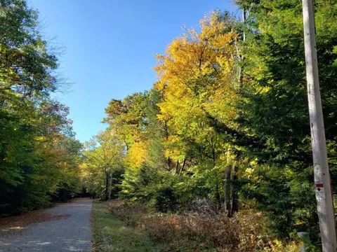 Reini Lane, White Lake, WI 54491