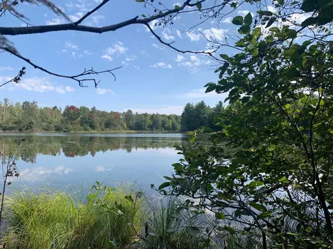 Swan Bay Road, Amberg, WI 54102