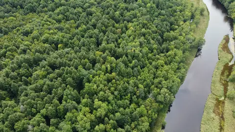 Wolfe Lane, Athelstane, WI 54104