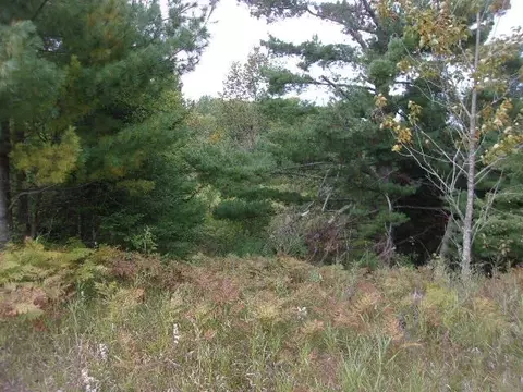 APT 28 Lane, Carney, MI 49812