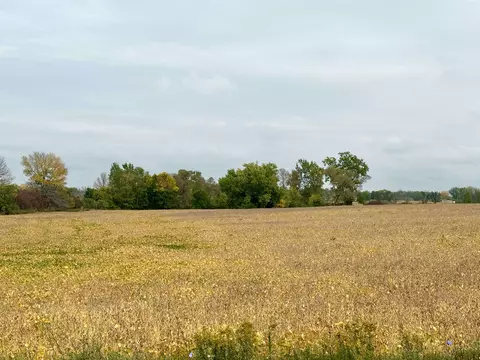 Lily Lake Road, Green Bay, WI 54311