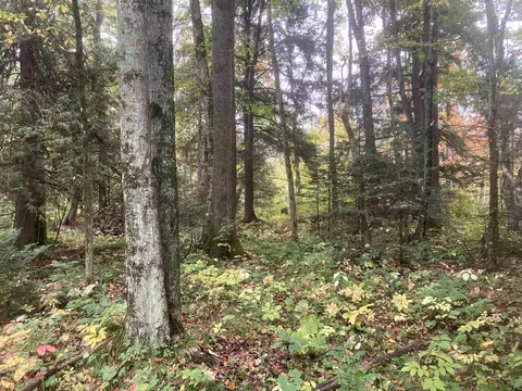 County Rd R, Suring, WI 54174