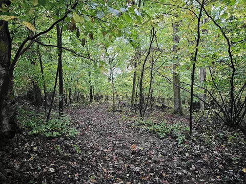 e2126 Flaata Road, Iola, WI 54945 photo 43