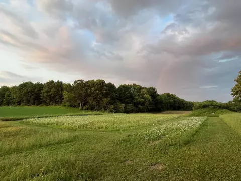 e2126 Flaata Road, Iola, WI 54945 photo 24