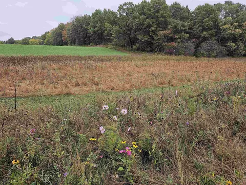 e2126 Flaata Road, Iola, WI 54945 photo 40