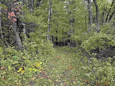 e2126 Flaata Road, Iola, WI 54945 photo 31