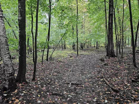 e2126 Flaata Road, Iola, WI 54945 photo 34
