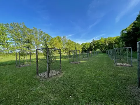 e2126 Flaata Road, Iola, WI 54945 photo 25