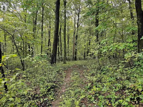 e2126 Flaata Road, Iola, WI 54945 photo 37