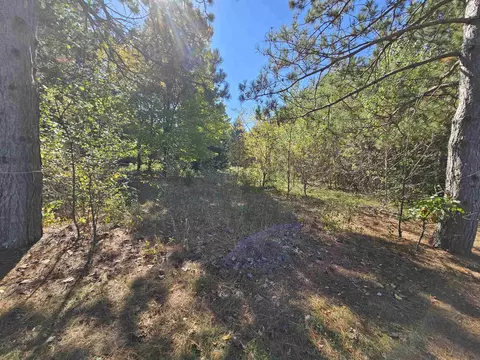 Wheeler Drive, Plainfield, WI 54966
