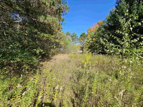 Wheeler Drive, Plainfield, WI 54966 photo 5