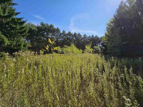 Wheeler Drive, Plainfield, WI 54966 photo 6