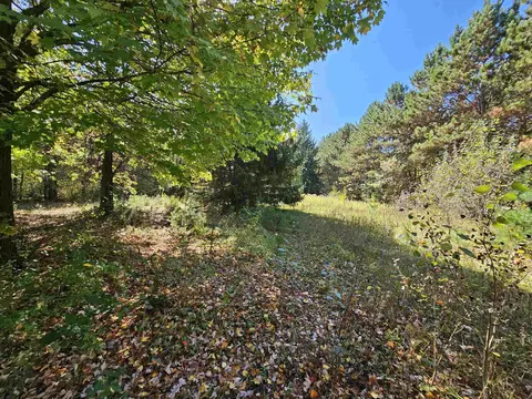 Wheeler Drive, Plainfield, WI 54966 photo 3
