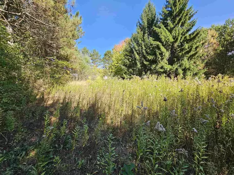 Wheeler Drive, Plainfield, WI 54966 photo 8