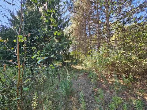 Wheeler Drive, Plainfield, WI 54966 photo 7