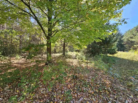 Wheeler Drive, Plainfield, WI 54966 photo 2