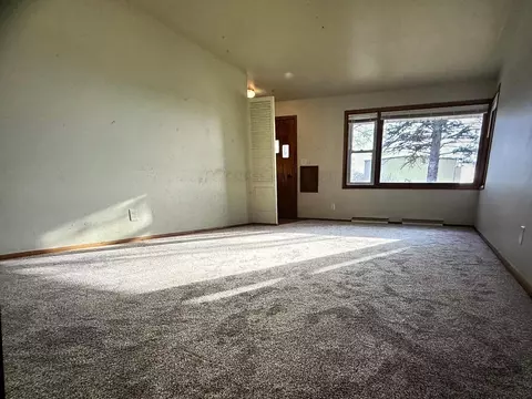 1628 E Amelia St, Appleton, WI 54911 photo 19