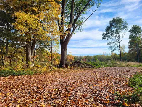 9519 N 28th Ave, Merrill, WI 54452