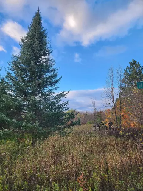 Hazel Green Road, Deerbrook, WI 54424