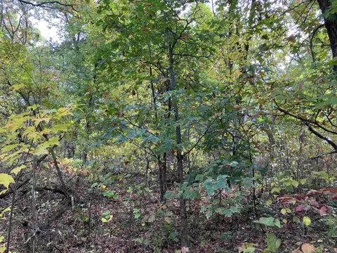 County Road N, Almond, WI 54909