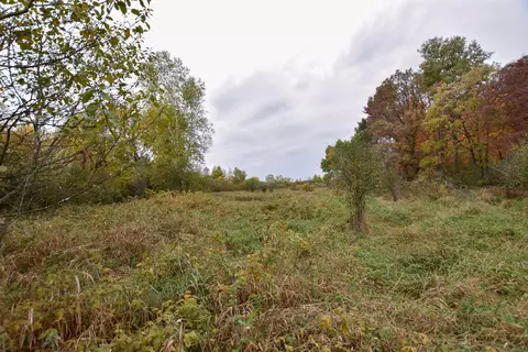 21 St Dr, Wild Rose, WI 54984 photo 28