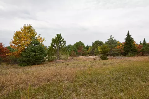 21 St Dr, Wild Rose, WI 54984 photo 18