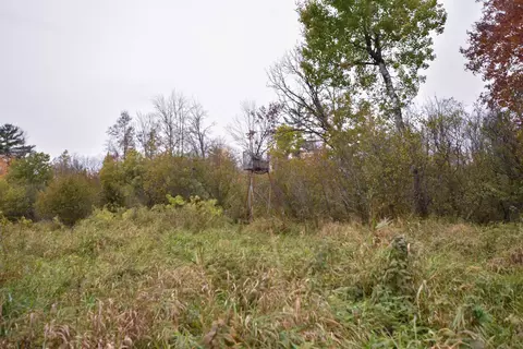 21 St Dr, Wild Rose, WI 54984 photo 29