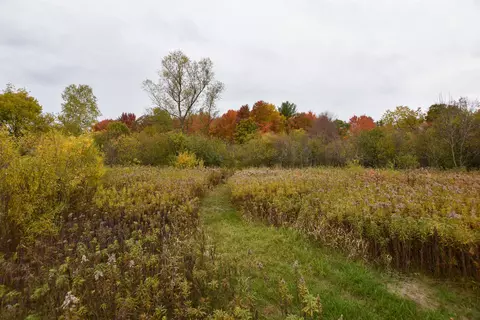 21 St Dr, Wild Rose, WI 54984 photo 27