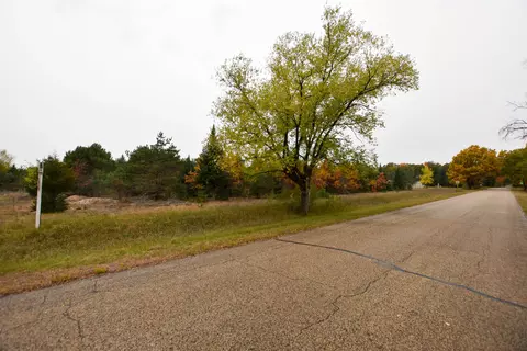 21 St Dr, Wild Rose, WI 54984 photo 3