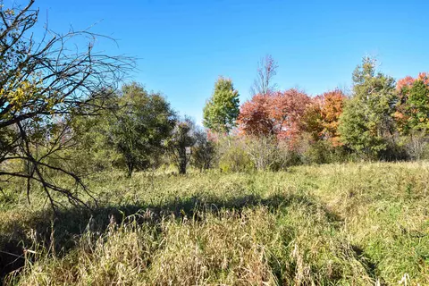 21 St Dr, Wild Rose, WI 54984 photo 10