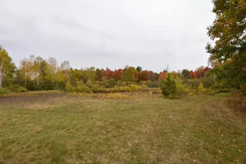 21 St Dr, Wild Rose, WI 54984 photo 25