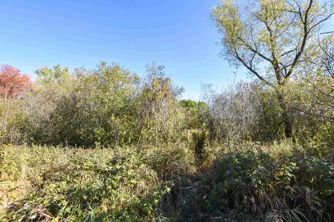 21 St Dr, Wild Rose, WI 54984 photo 17