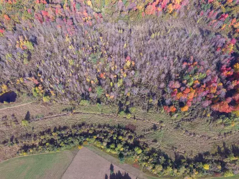21 St Dr, Wild Rose, WI 54984 photo 35